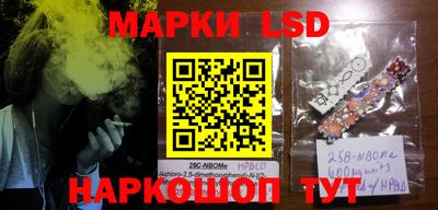 индика Моздок