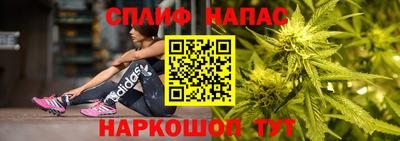 индика Моздок