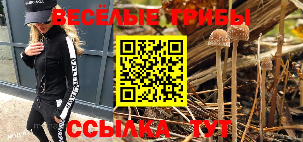 Галлюциногенные грибы MAGIC MUSHROOMS  Вход с VPN  Хабаровск  Галлюциногенные грибы мухоморы 